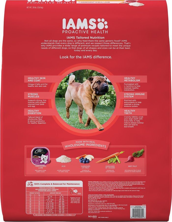 IAMS® Proactive Health Adult Lamb & Rice Formula Dry Dog Food, 30 Pounds