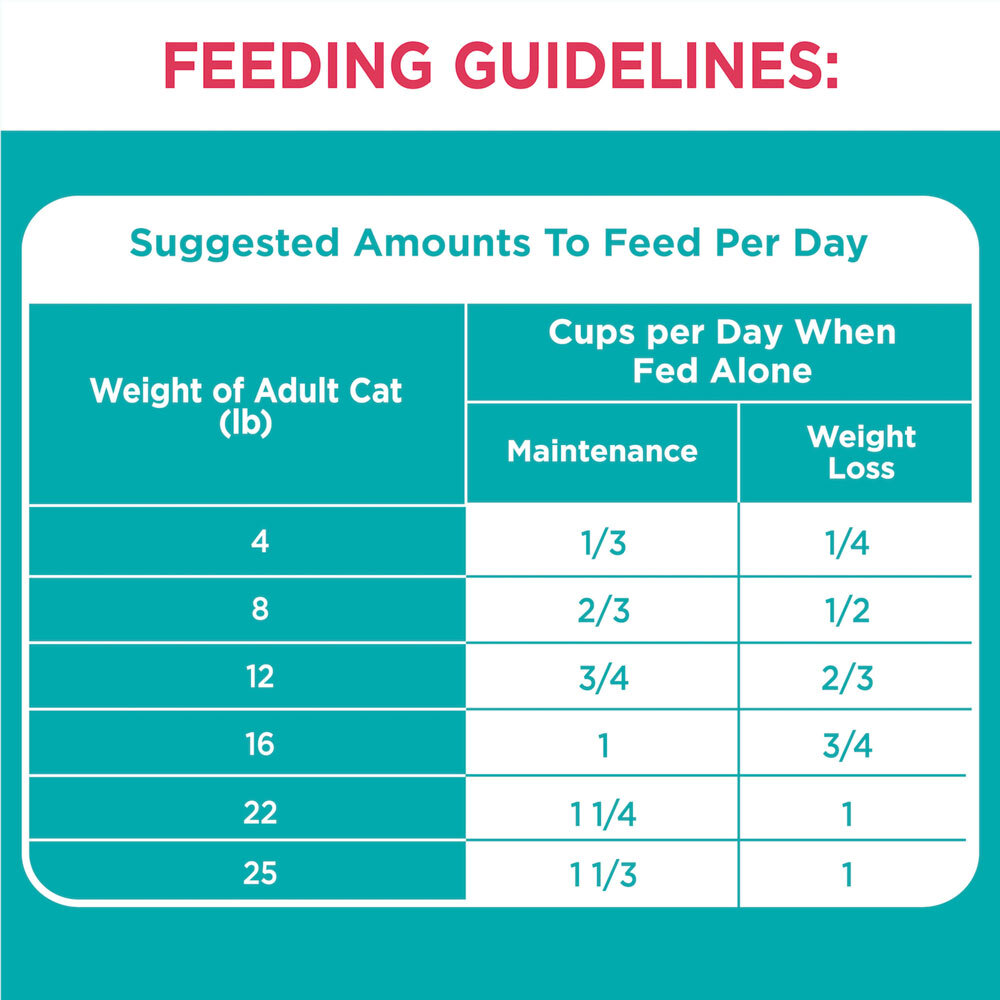 IAMS Proactive Health Indoor Weight and Hairball Care, Salmon Dry Cat Food, 7 Pounds