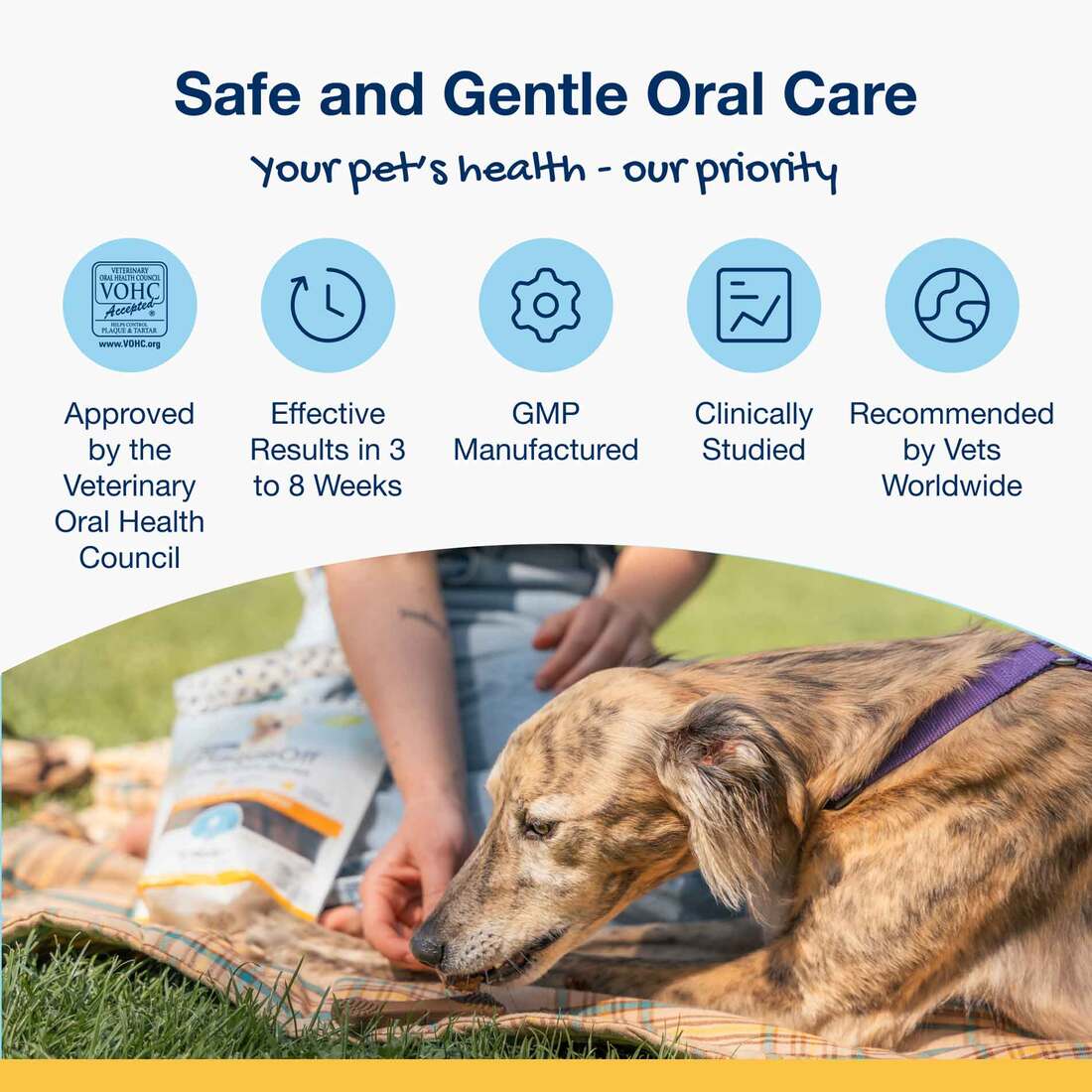Dog Supplies Health & Wellness Proden PlaqueOff Dental Bone Dog Treat ...