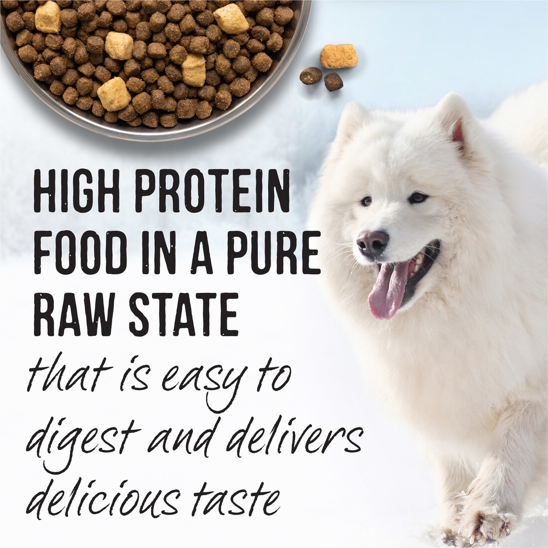 Merrick Backcountry Raw Infused Dry Dog Food Great Plains Red Recipe With Healthy Grains - 20 Pound 