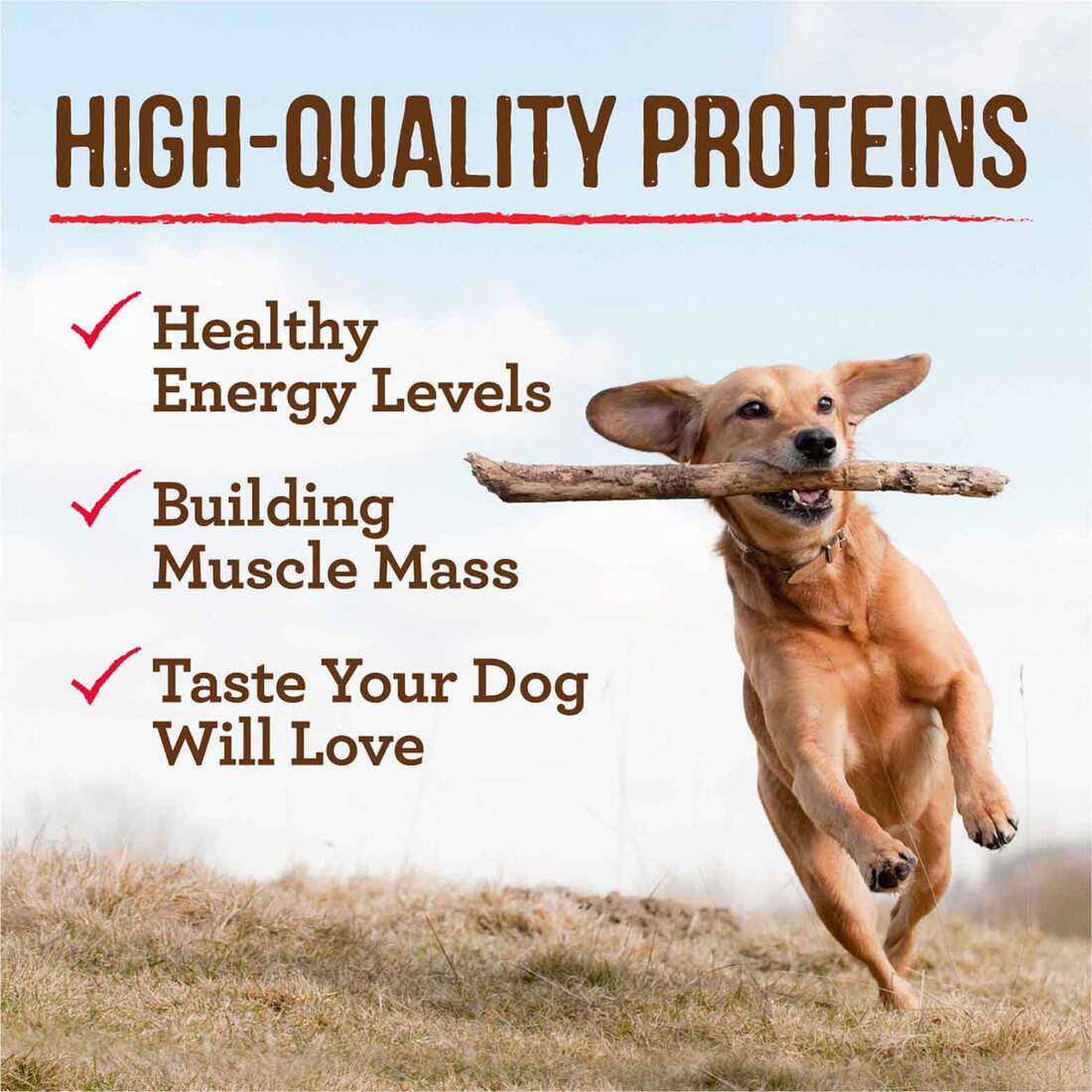 Merrick Slow-Cooked BBQ Premium And Healthy Real Meat Grain Free Canned Dog Food, Kentucky Style Wit