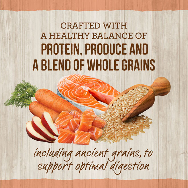 Merrick Healthy Grains Dry Dog Food Real Salmon and Brown Rice Recipe with Ancient Grains - 25 Pound