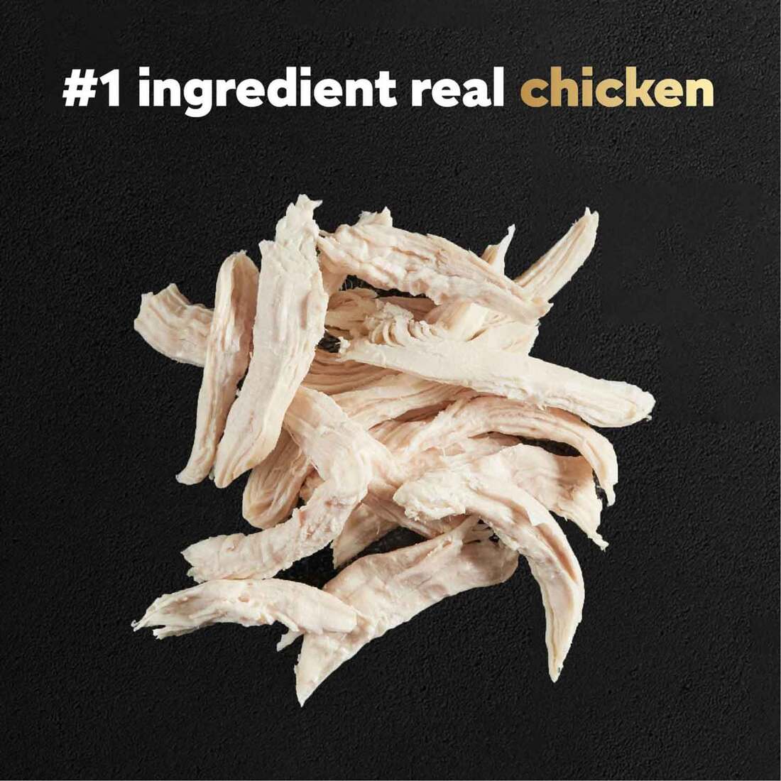 Cesar Wet Dog Food Pouch, Rotisserie Chicken, 1.76 Ounces
