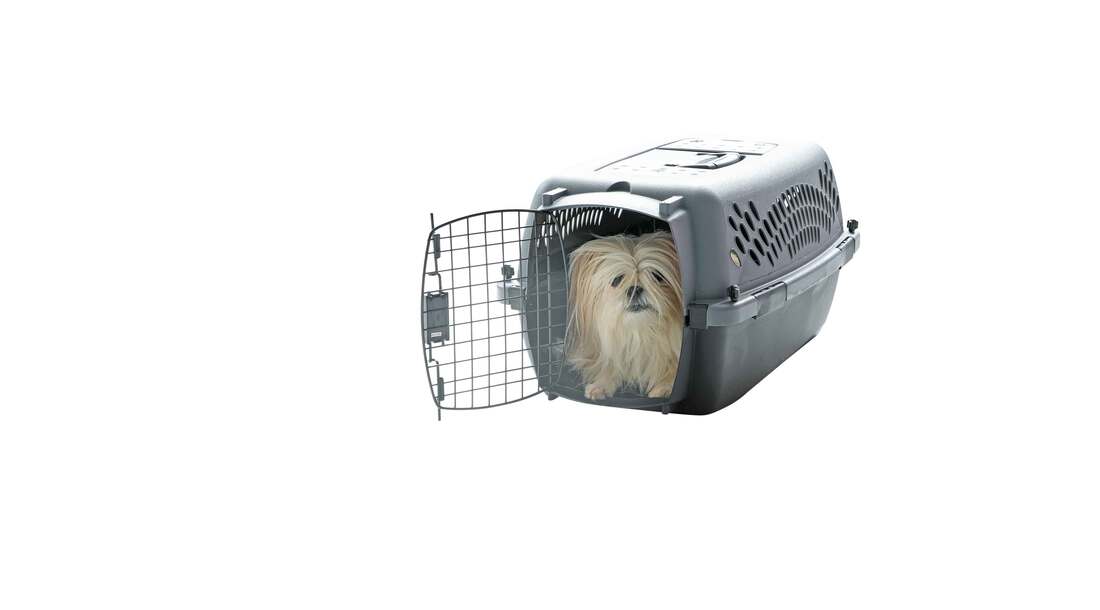 Petmate Pet Porter Traditional Travel Carrier, Up To 15 Pounds