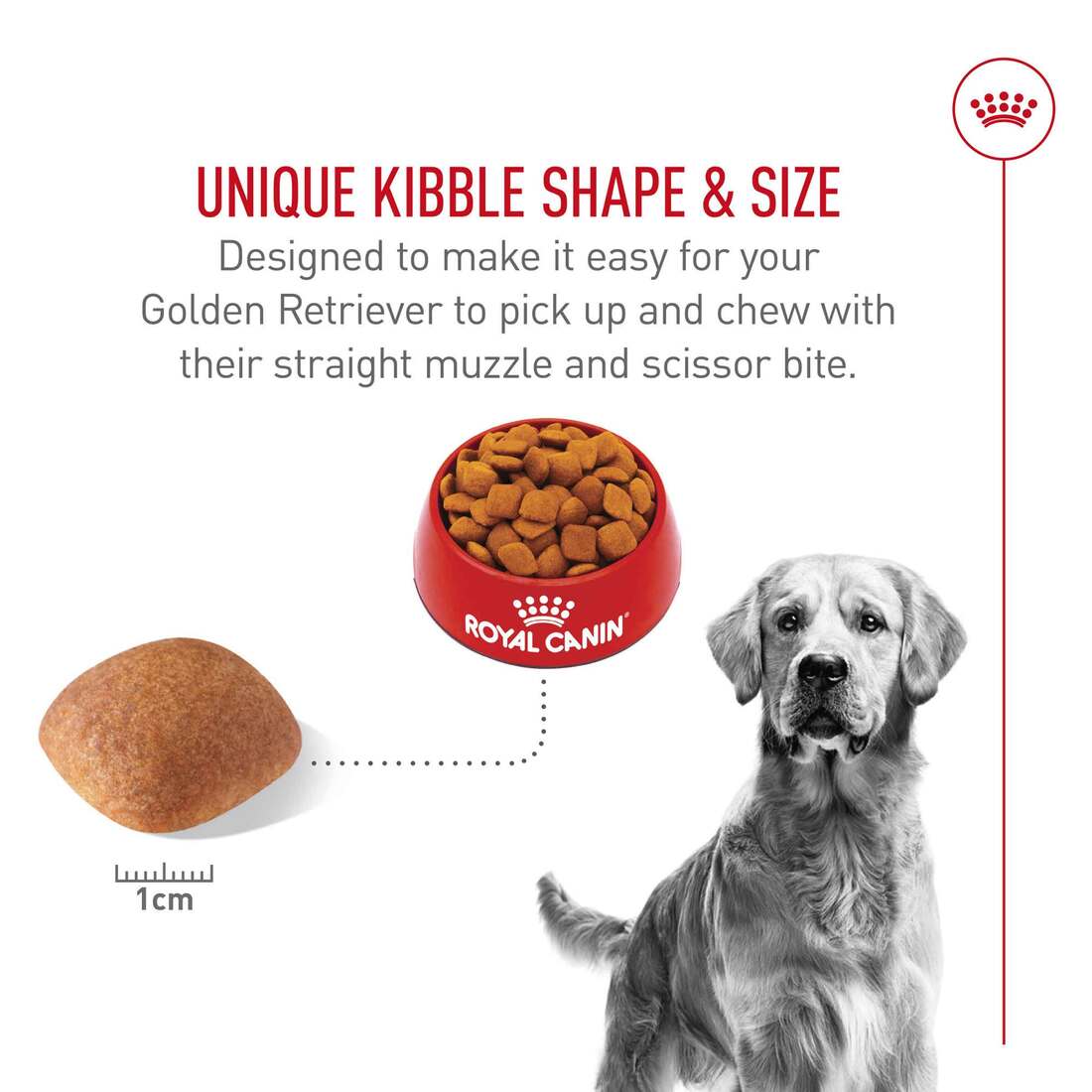 Royal Canin® Breed Health Nutrition® Golden Retriever Adult Dry