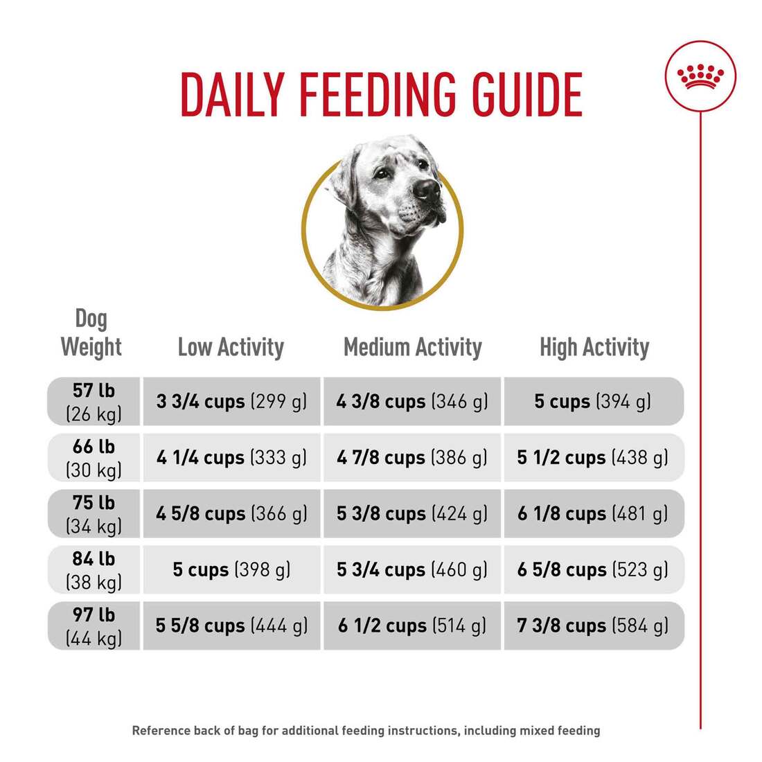 Royal Canin® Breed Health Nutrition® Labrador Retriever Adult Dry