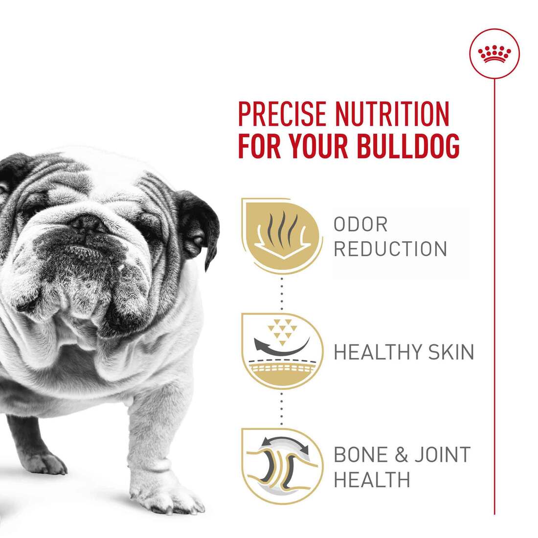 Royal Canin® Breed Health Nutrition® Bulldog Adult Dry Dog Food