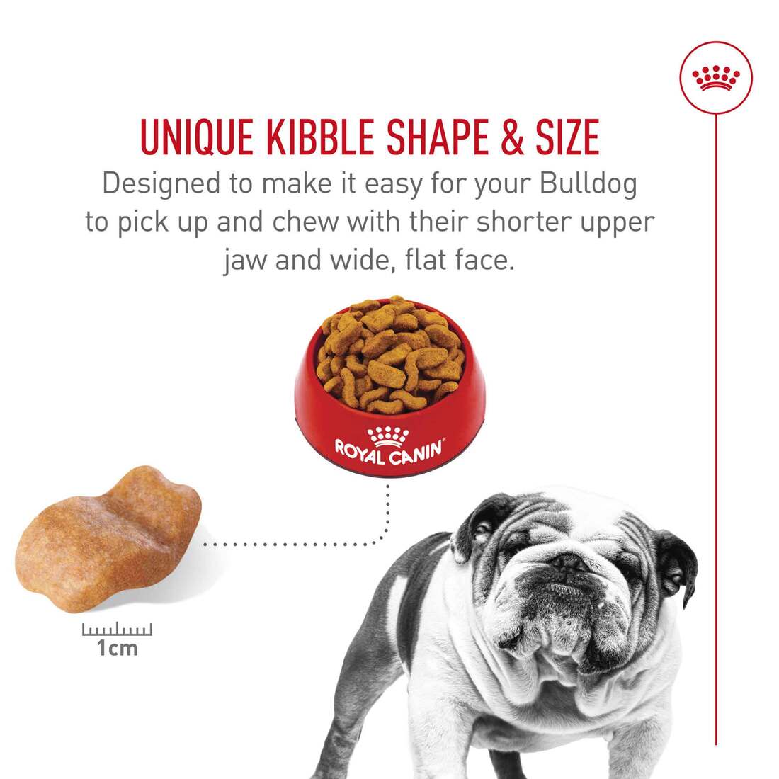 Royal Canin® Breed Health Nutrition® Bulldog Adult Dry Dog Food, 17 Pound