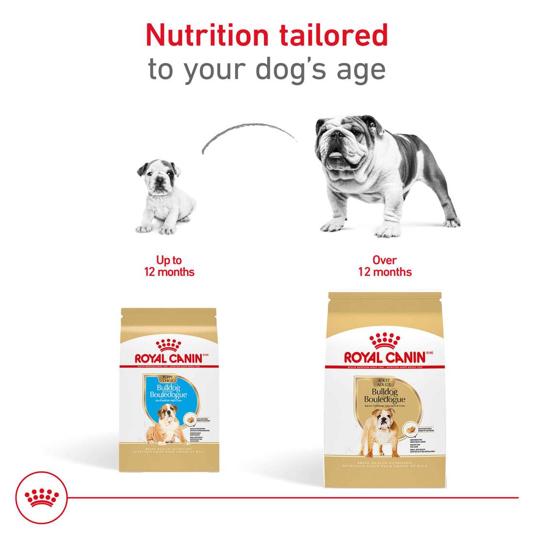 Royal Canin® Breed Health Nutrition® Bulldog Adult Dry Dog Food
