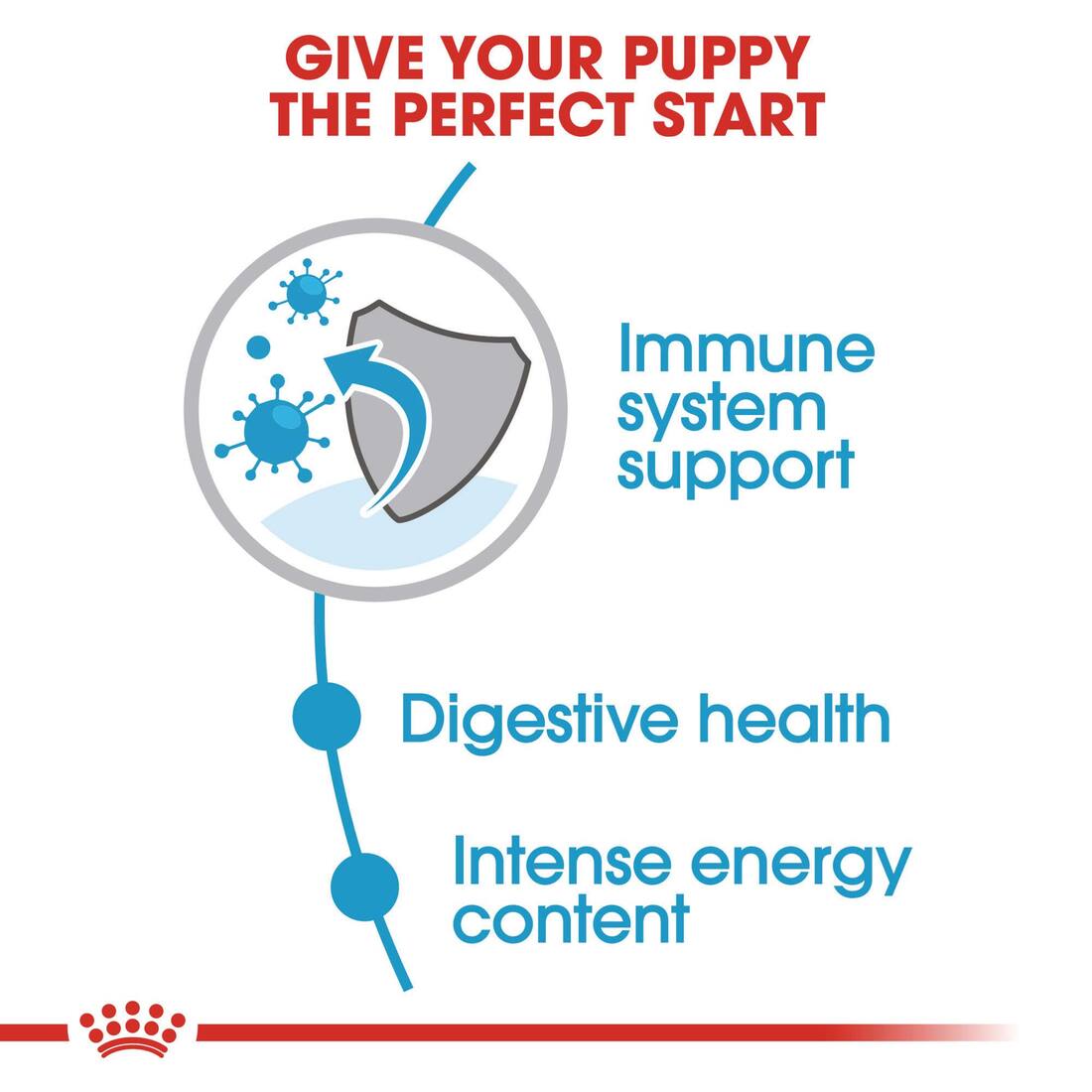 Royal Canin® Size Health Nutrition™ Small Puppy Dry Dog Food, 2.5 Pound