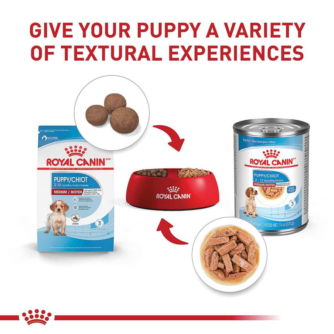 tough dog toys for chewers ChewSmart Dental Delight: Tough Chew Dog Toy