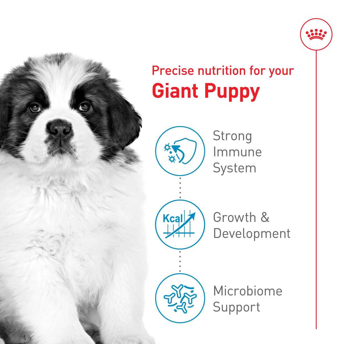 Royal Canin® Size Health Nutrition™ Dry Dog Food, Giant Breed