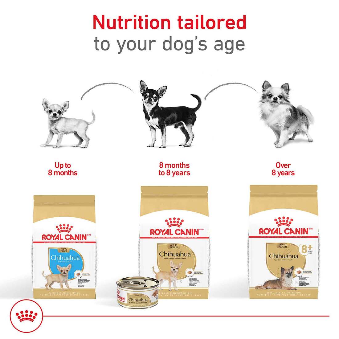 barking heads beef waggington wet dog food pouch Wet Dog Food Variety Pack | Grain-Free