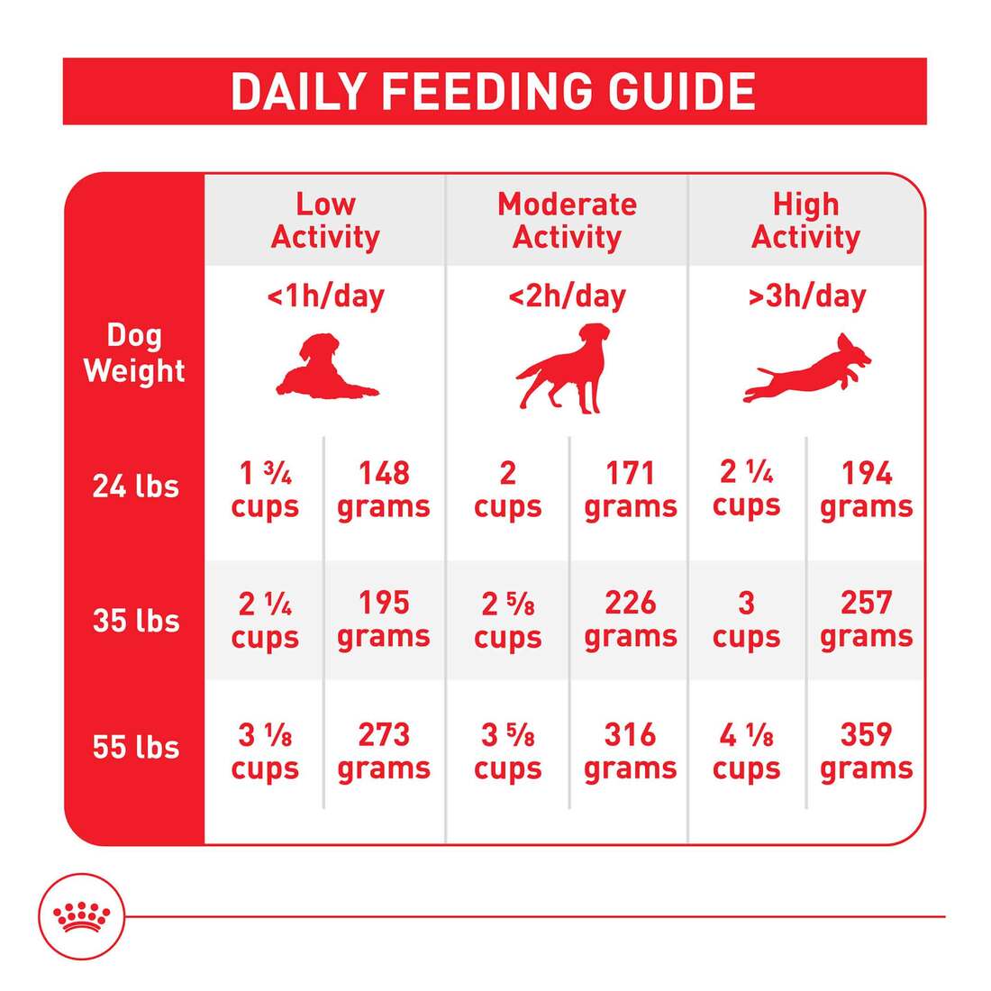 Royal Canin Medium Adult Hondenvoer – 10 Kg – Voor Middelgrote Rassen (11-25 Kg) – Van 12 Maanden Tot 7 Jaar – Ondersteunt Immuunsysteem En Gewicht