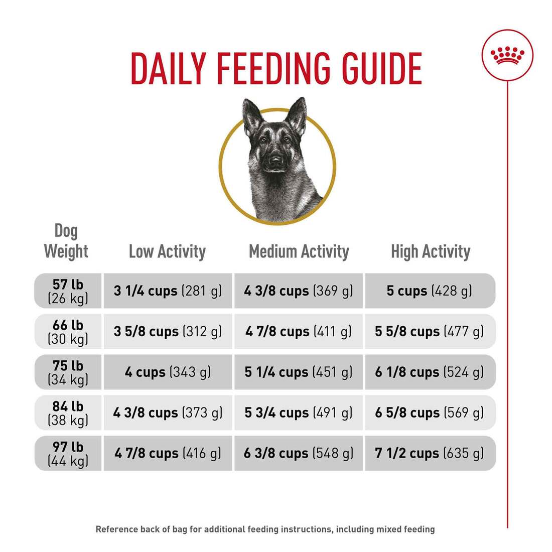 German Shepard How Much To Feed A German Shepherd Puppy Per Day