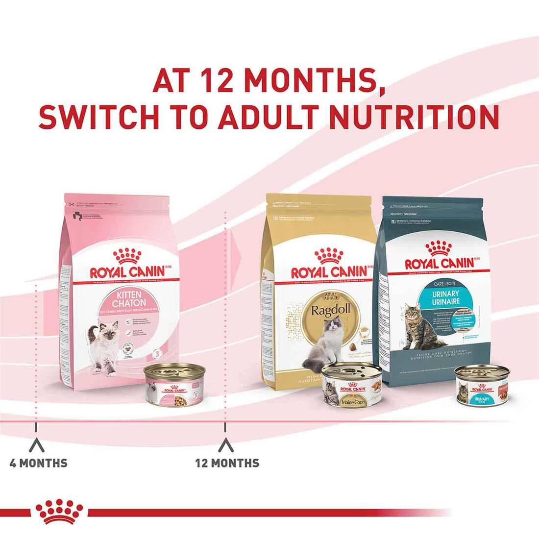 Royal Canin Kitten Thin Slices in Gravy, Canned Cat Food, 3 oz