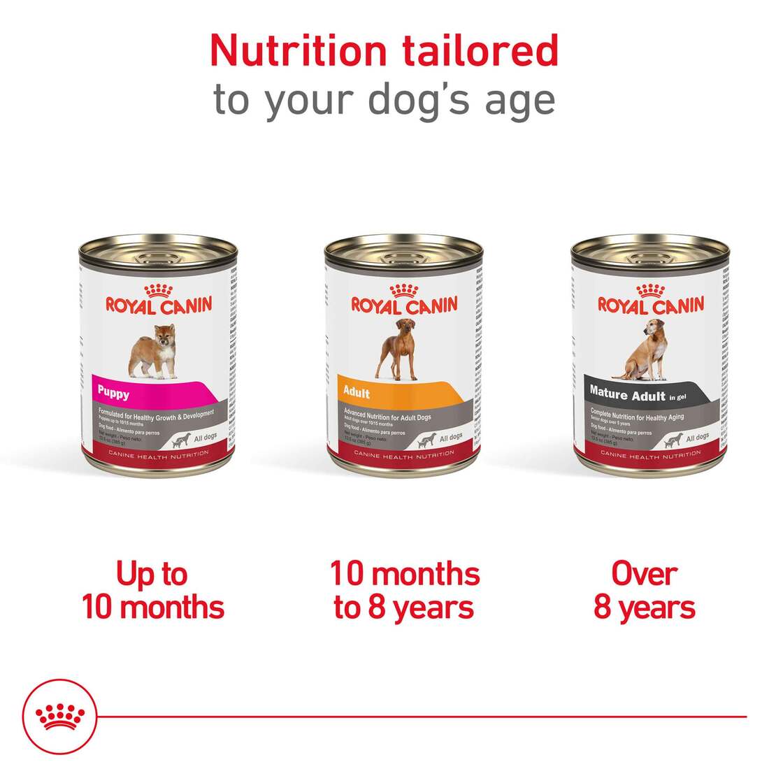Royal Canin Adult Canned Dog Food 13.5oz