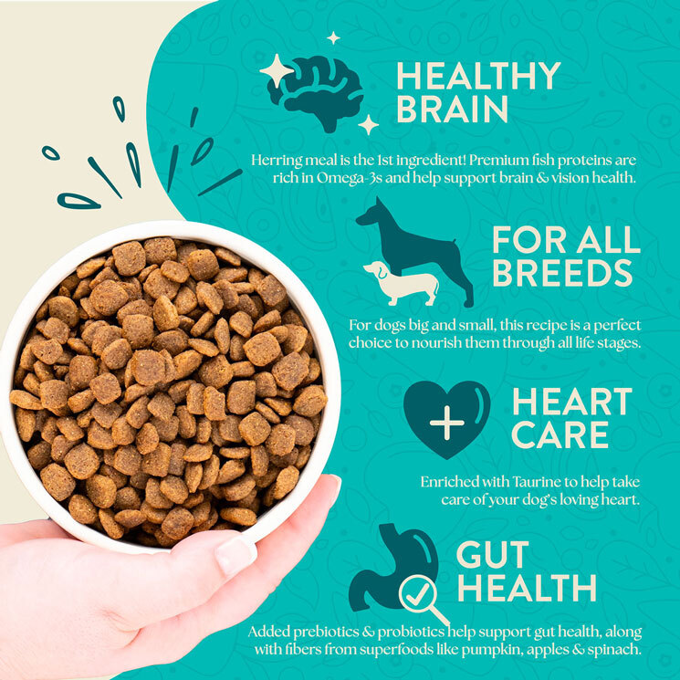 Earthborn Holistic Coastal Catch Grain-Free Dry Dog Food, 25 Pound Bag