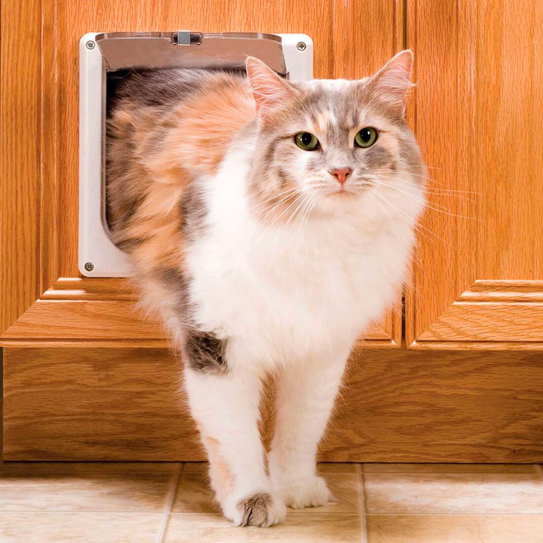 PetSafe® 2-Way Locking Cat Door