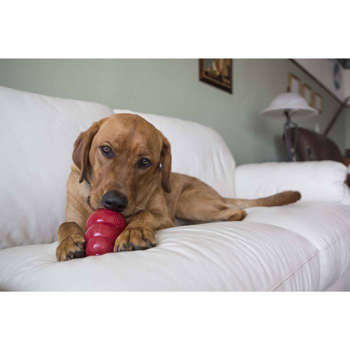 KONG Snacks Peanut Butter Large