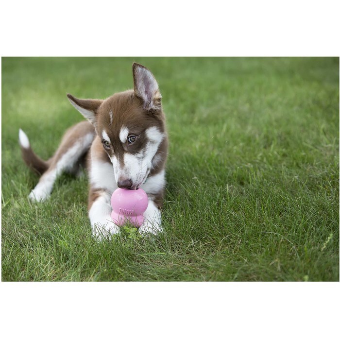 KONG Puppy Easy Treat, 14 Ounces