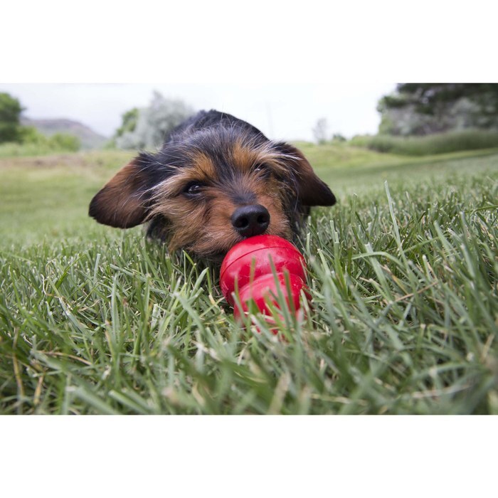 KONG Easy Treat Liver