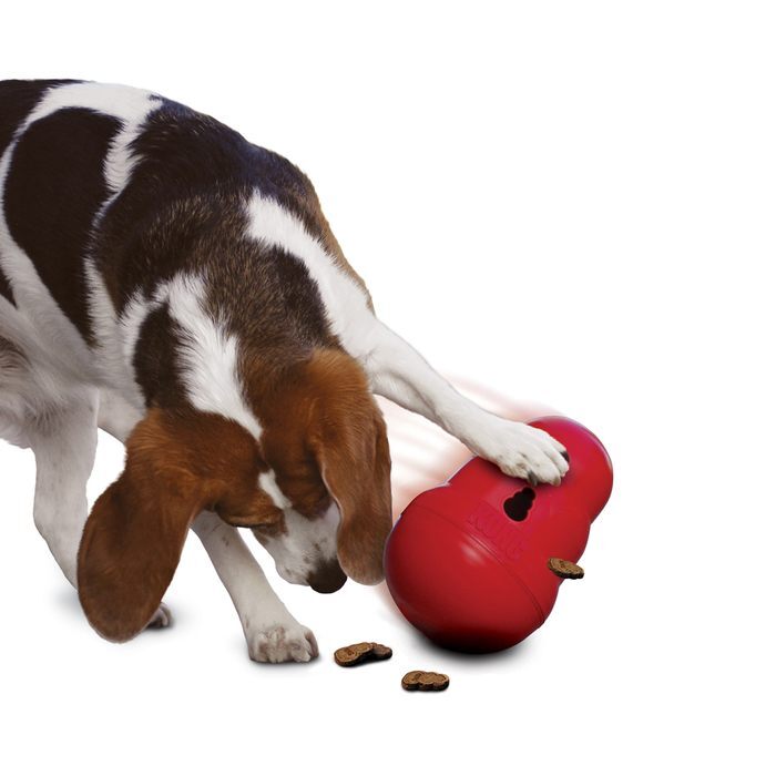 KONG Wobbler Dog Toy, Large