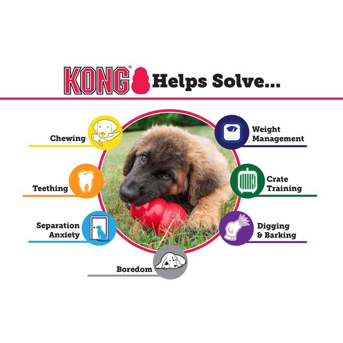 KONG Classic Dog Toy, Medium