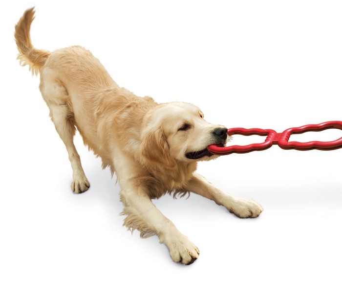 KONG Tug Toy