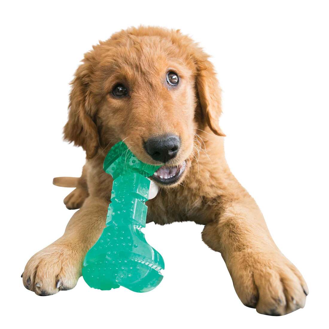 KONG Squeez Dental Bone, Medium