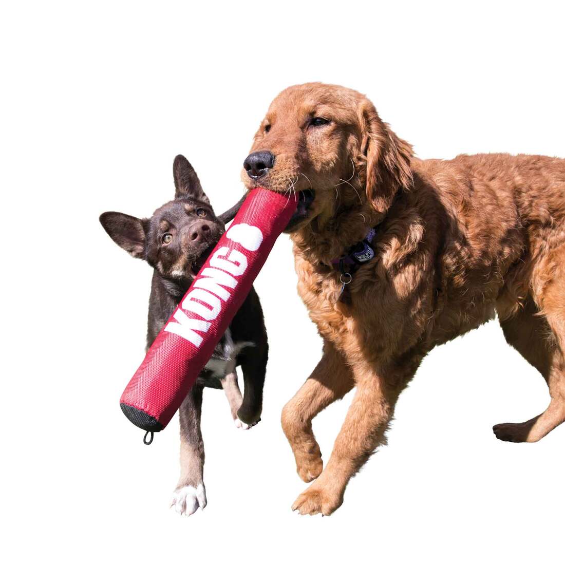 KONG Signature Stick Dog Toy, Medium