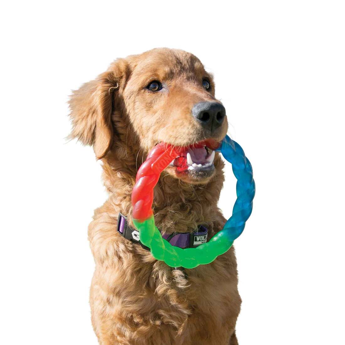 KONG Twistz Ring Dog Toy, Small