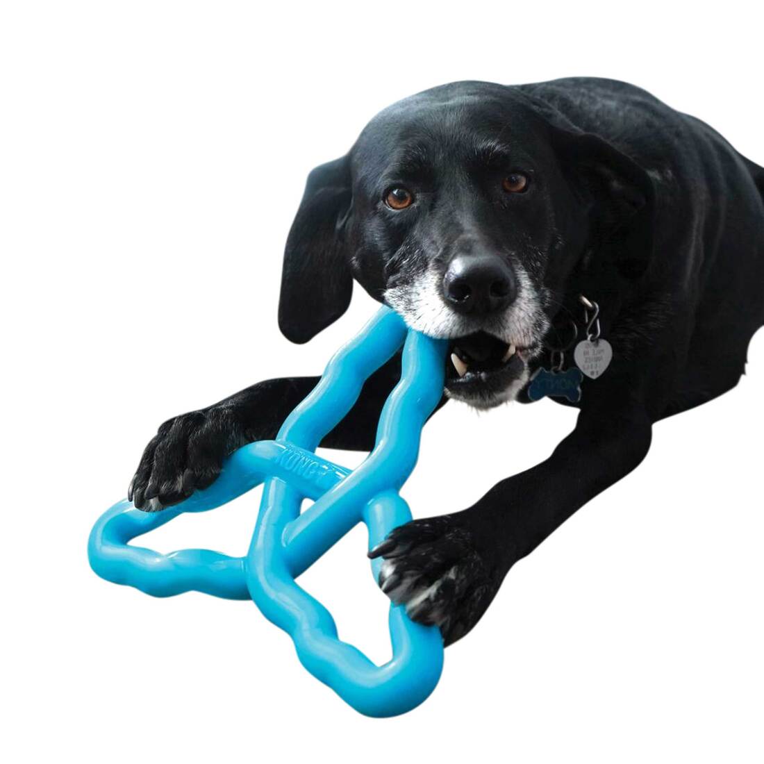 KONG Dog Toy Flyangle, Assorted