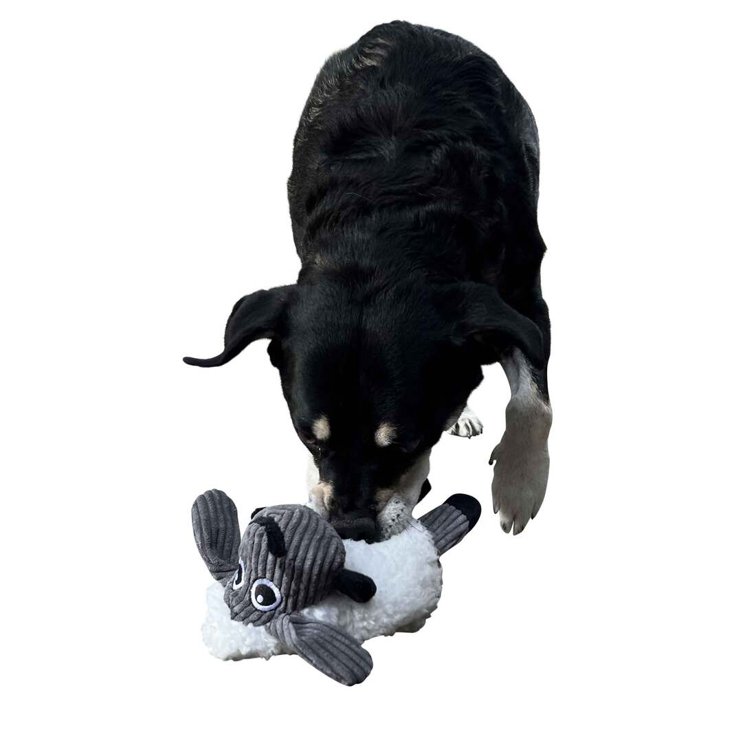 KONG Sherps Floofs Sheep Dog Toy
