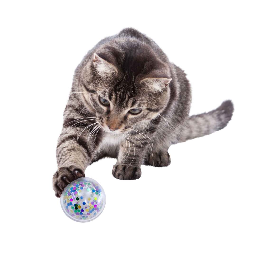 KONG Active Confetti Ball Cat Toy