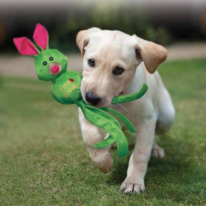 KONG Wubba Ballistic Friends, Small