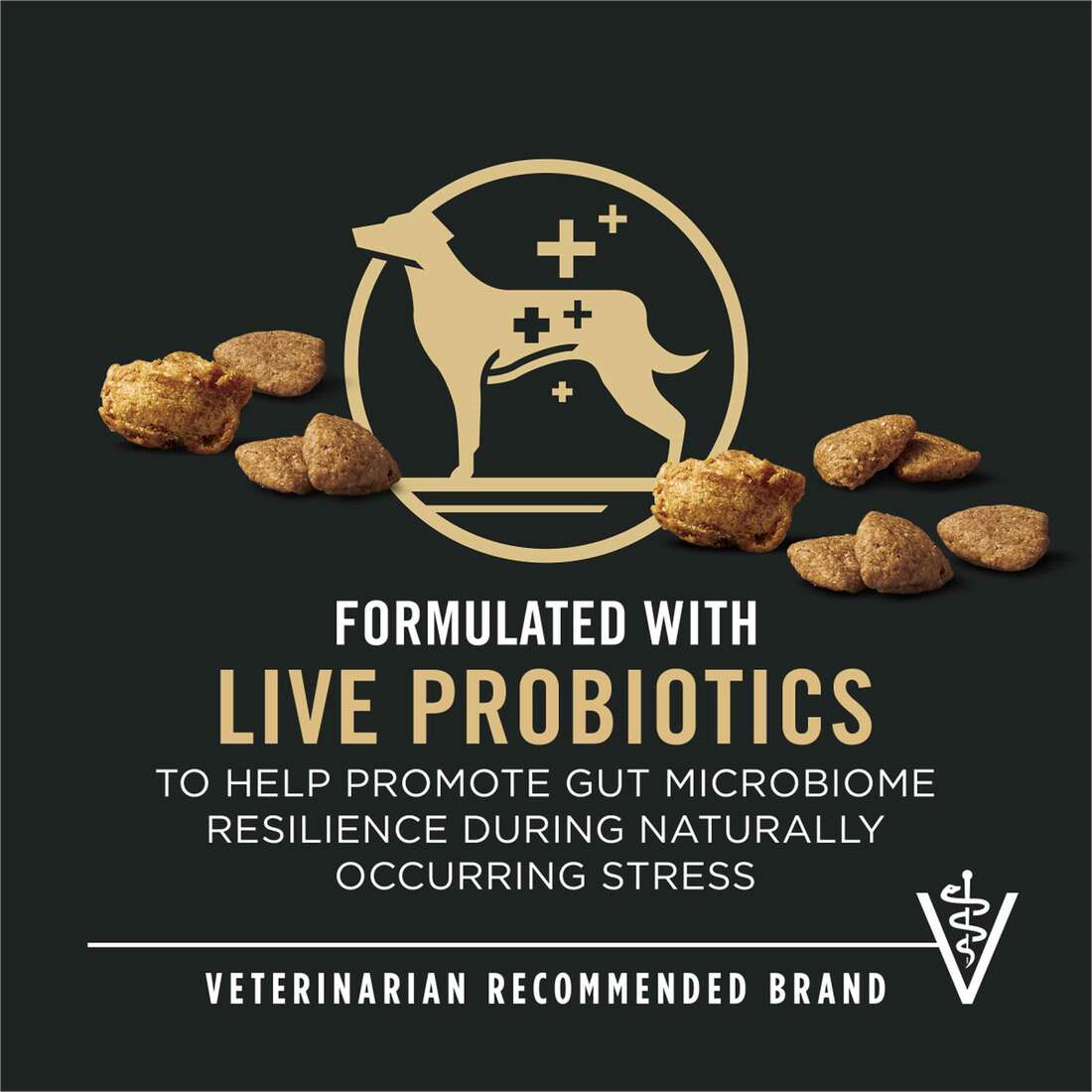 Purina Pro Plan Complete Essentials Shredded Blend Turkey and Rice Dog ...