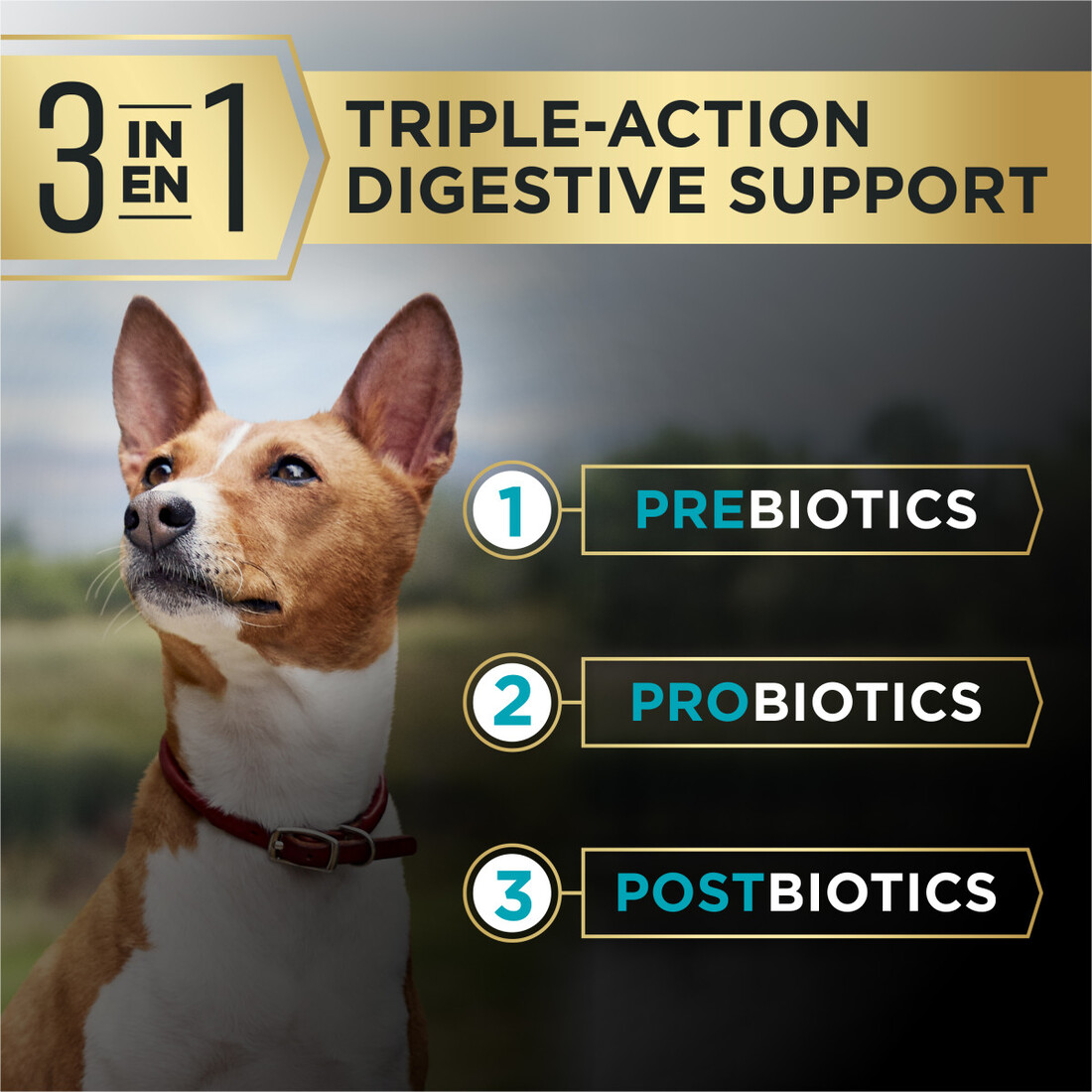 Purina Pro Plan AdvantEDGE Digestive Support Plus Small Breed