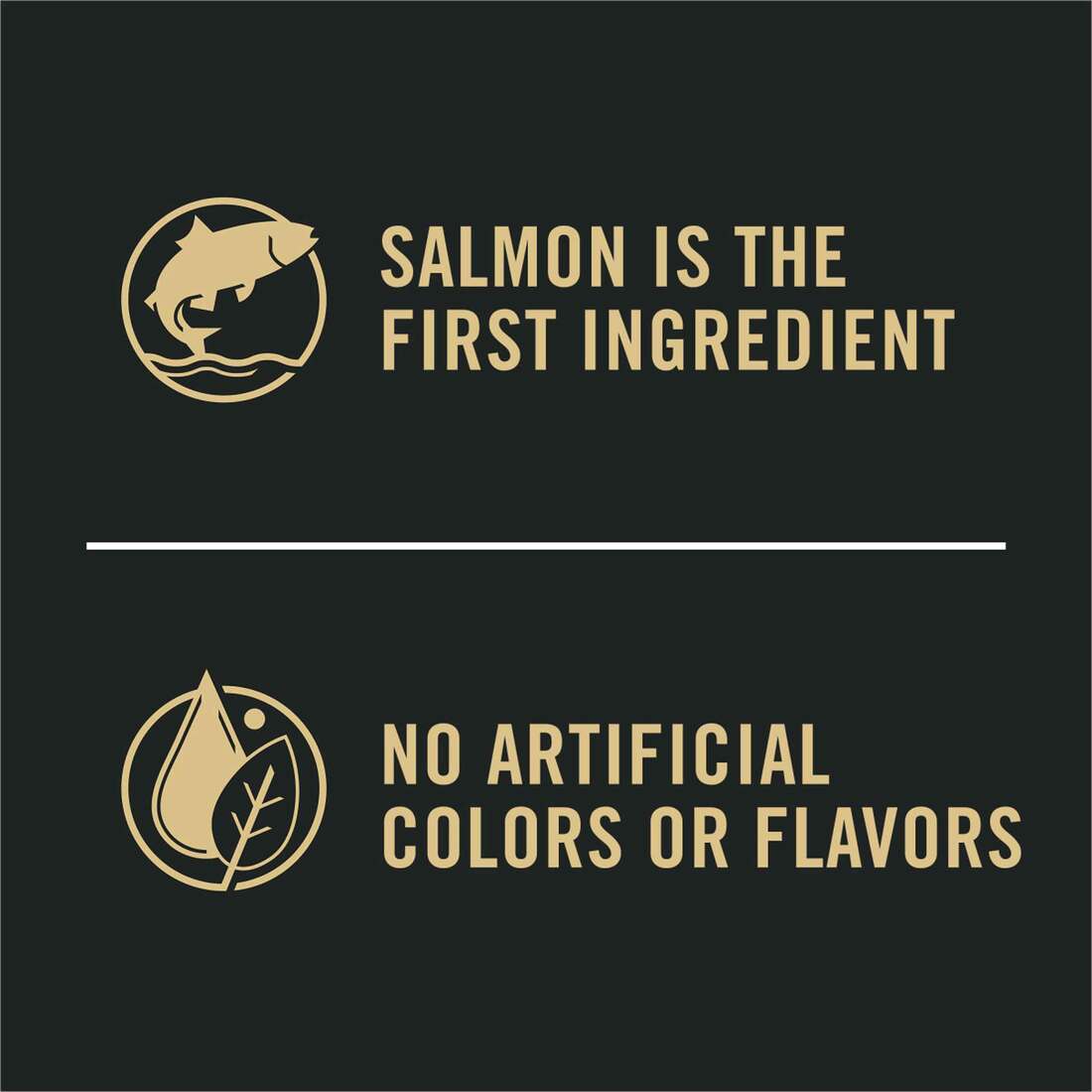 038100160546_9