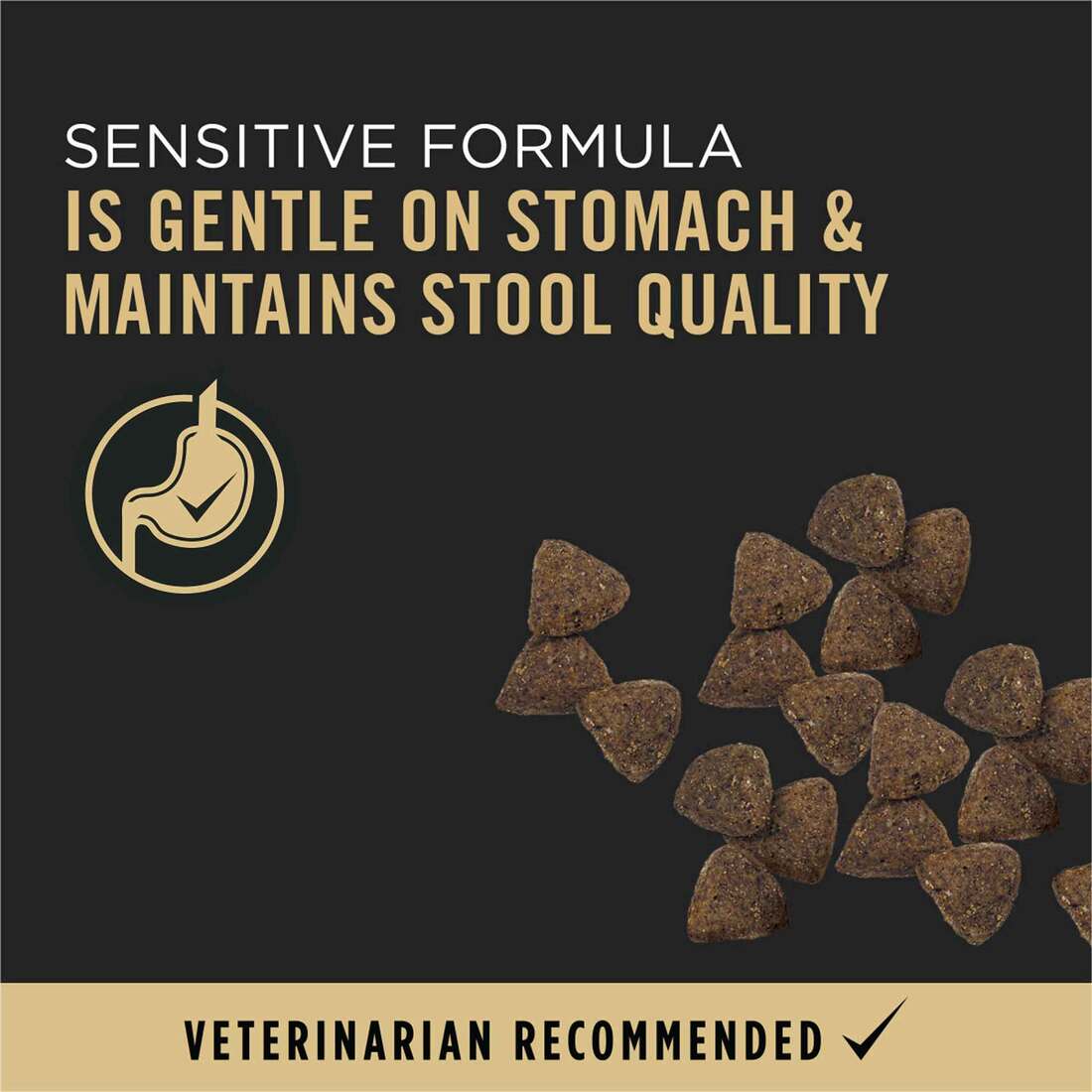 Purina Pro Plan Sensitive Skin and Stomach Dog Food Dry, Adult Salmon & Rice Formula, Digestive Heal