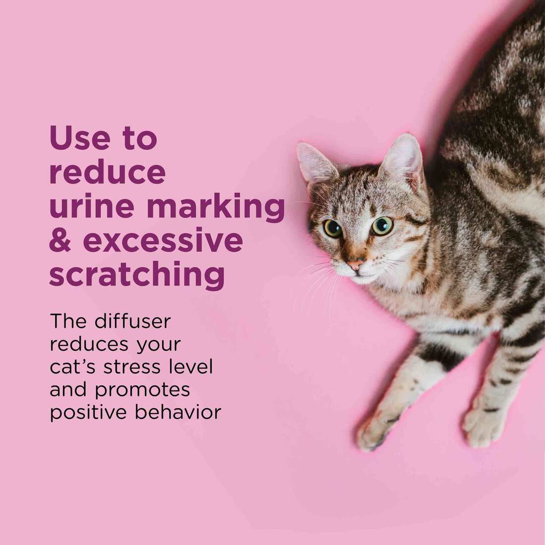 Comfort Zone Cat Calming Diffuser: 30 Day Trial Kit (1 Diffuser & 1 Refill)