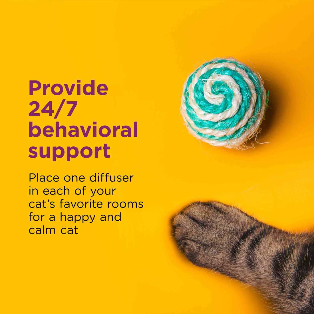 039079003537_5