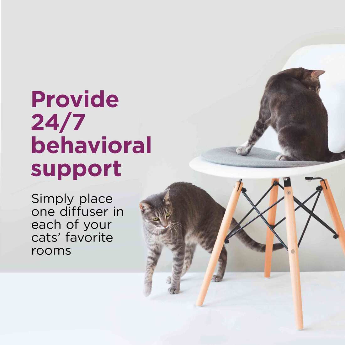 Comfort Zone Single & Multi-Cat Calming Kit 2 Pack, 2 Diffusers, 2 48 Milliliter Refills