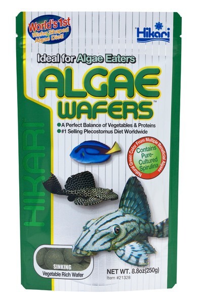 Hikari® Algae Wafers™ 8.8 Ounces - Daily Diet