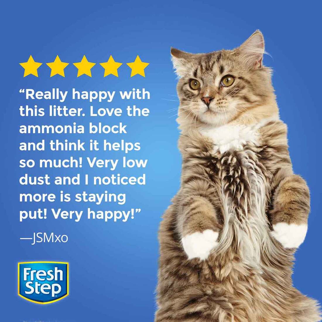 Fresh Step Odor Shield Scented Cat Litter, 42 Pounds