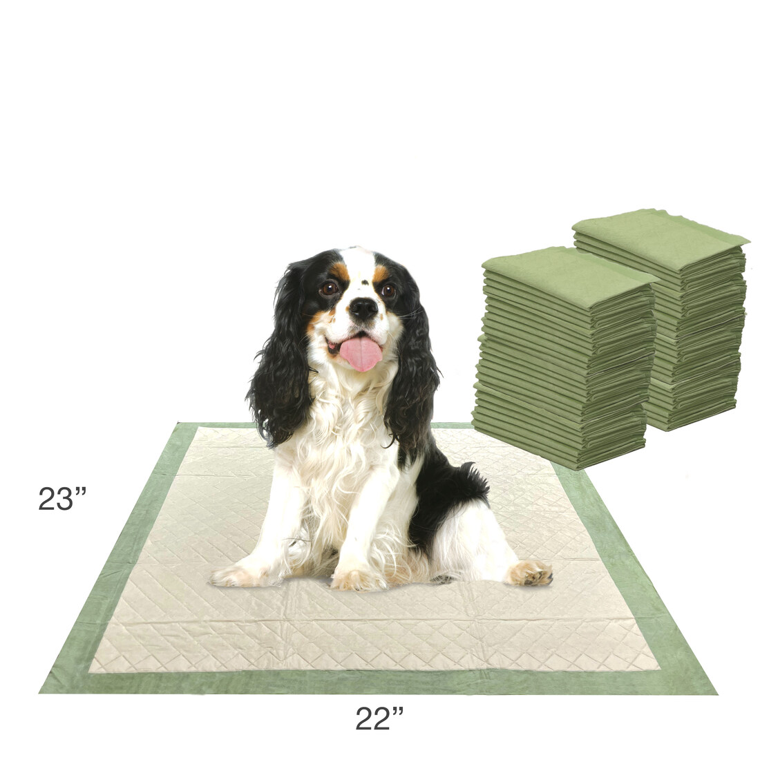 Four Paws Wee-Wee Superior Performance Eco Dog Pee Pads, 50 Count