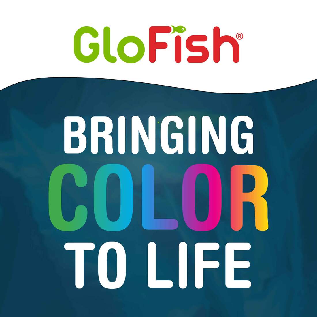 GloFish Fluorescent Plant Multipack 3 Count, Contains Small Orange, Medium Green, Large Blue Aquariu