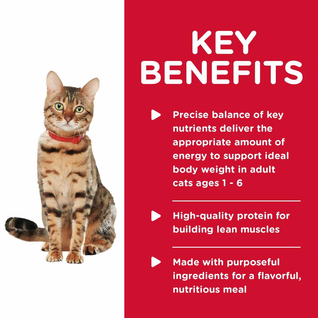 Hill's® Science Diet® Wet Cat Food, Healthy Cuisine Adult Roasted Chicken & Rice Medley, 2.8 Ounces
