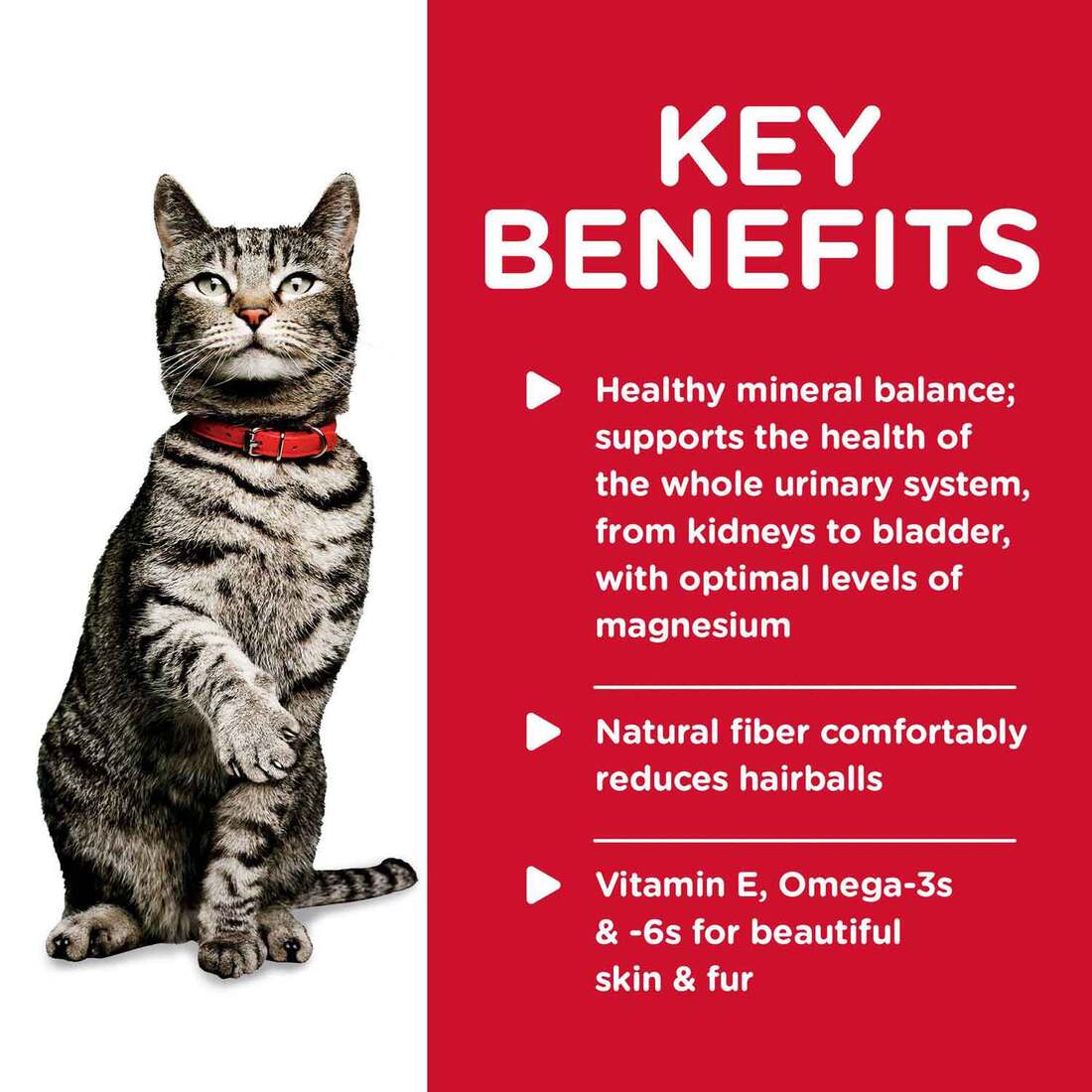 Hill's® Science Diet® Wet Cat Food, Urinary Hairball Control, 5.5 Ounces
