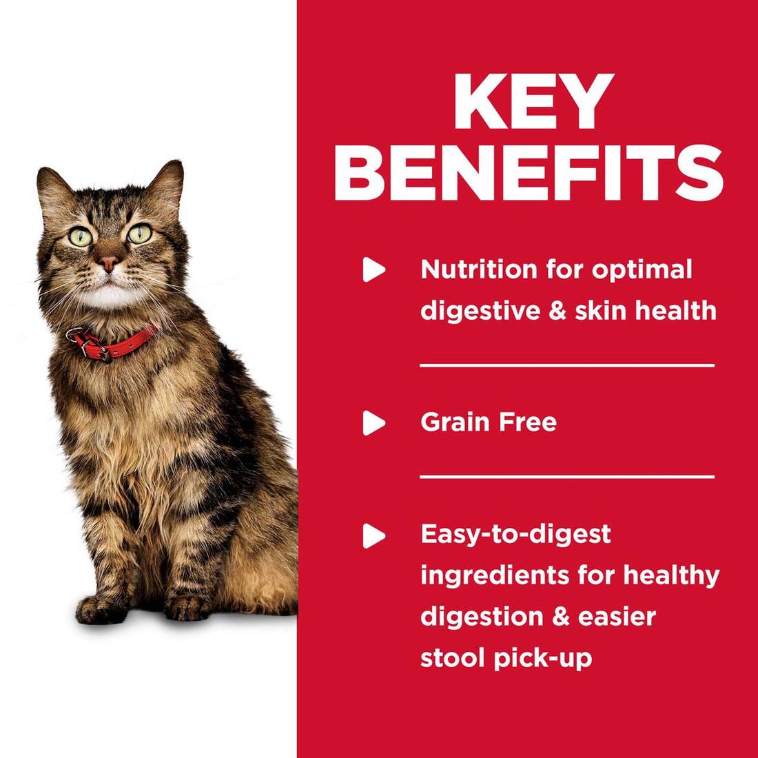 Hill's® Science Diet® Wet Cat Food, Sensitive Skin and Stomach Chicken and Vegetables, 2.9 Ounces